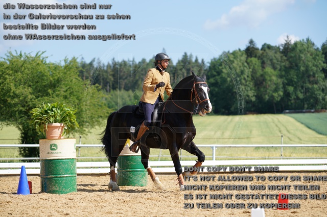 s_K3F05701.JPG
